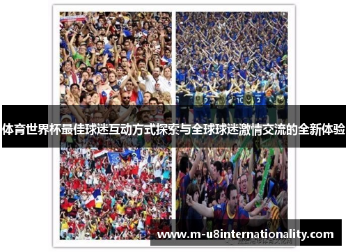 体育世界杯最佳球迷互动方式探索与全球球迷激情交流的全新体验